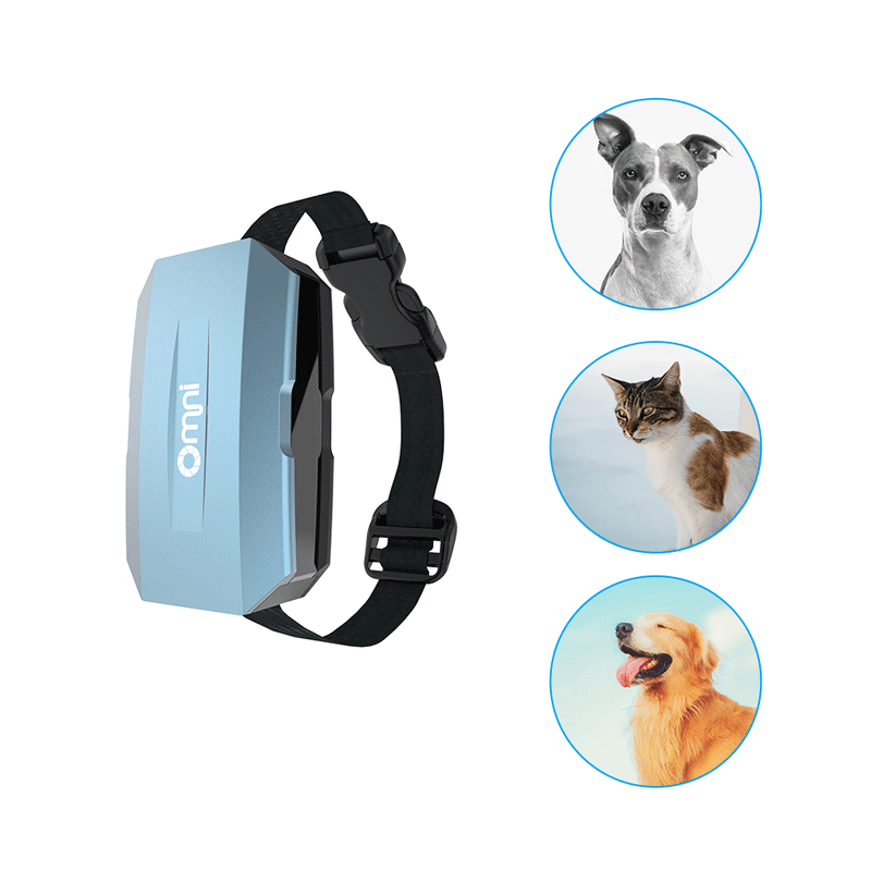 歐米智能寵物定位器可以解決哪些問題？